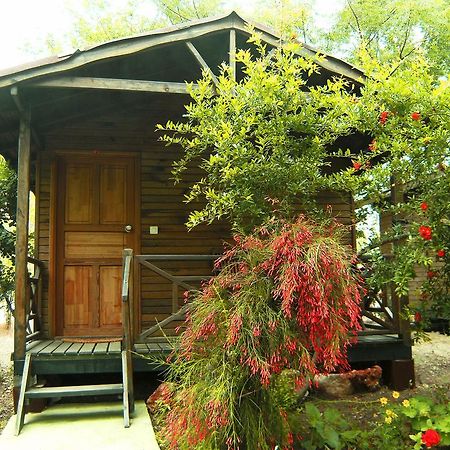 Hotel Merhaba Bungalow Beykonak Zimmer foto